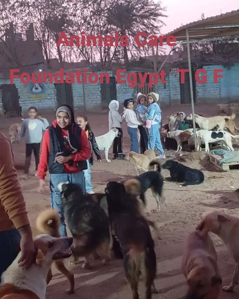 زيارات تعليمية: من أنشطة الجمعية في الرعاية والإنقاذ.