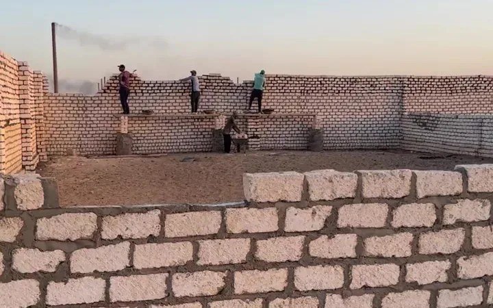 إعادة التأهيل والتبني: التأهيل والعرض للتبني لمنزل دائم.